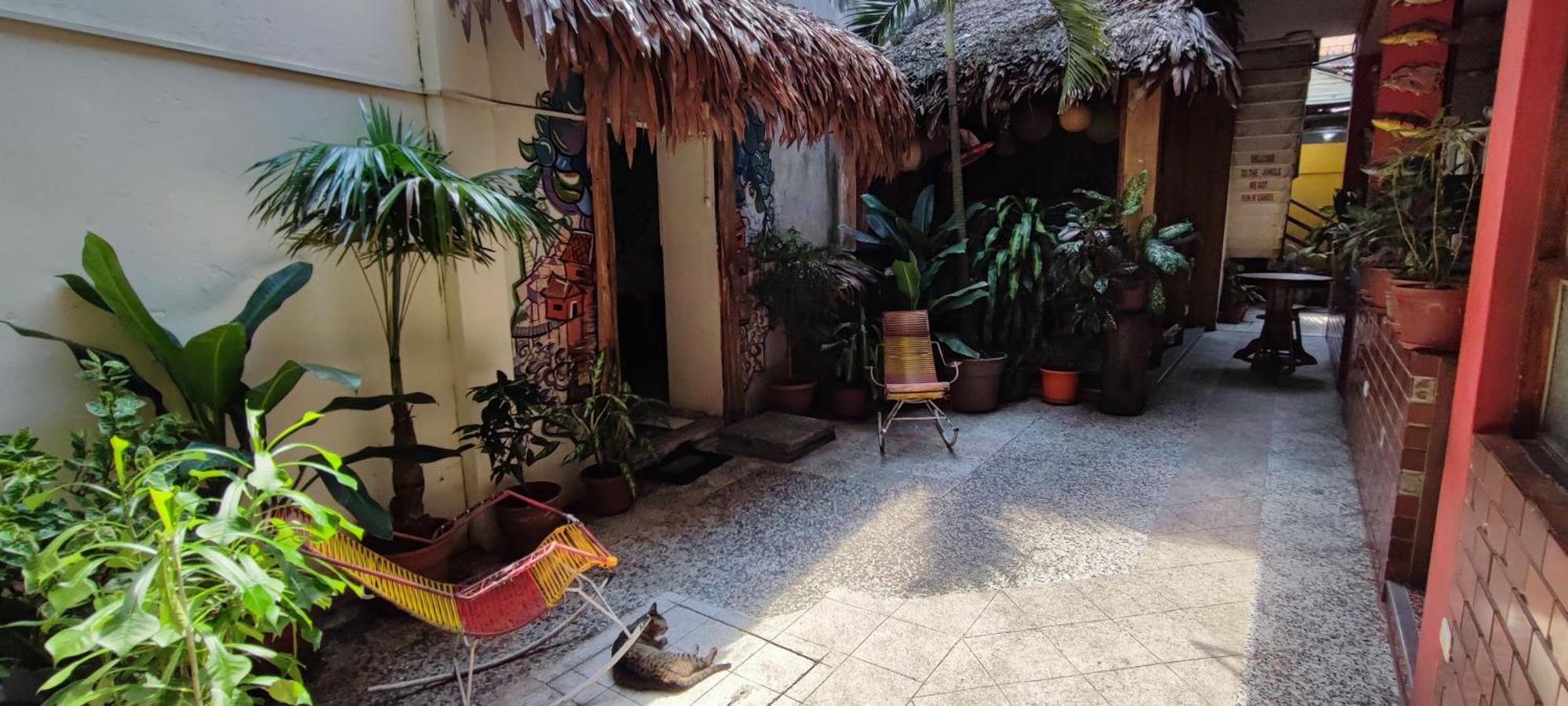 Flying Dog Hostel Iquitos Exteriör bild