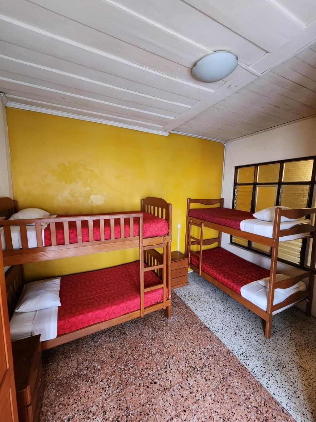 Flying Dog Hostel Iquitos Exteriör bild