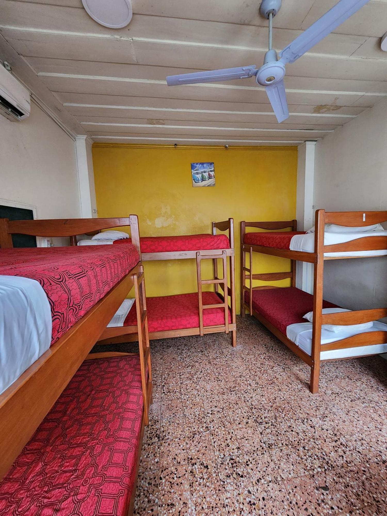 Flying Dog Hostel Iquitos Exteriör bild