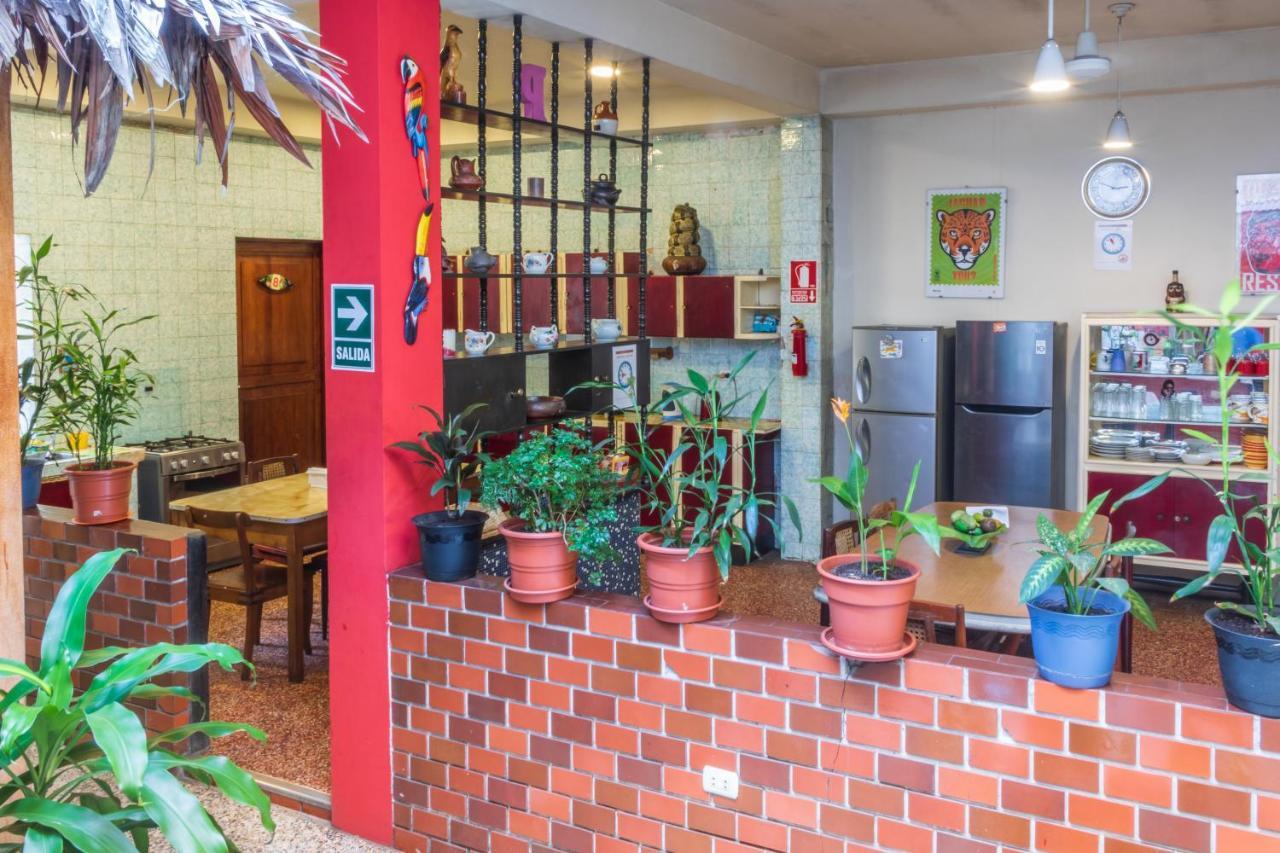 Flying Dog Hostel Iquitos Exteriör bild