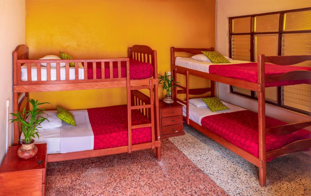 Flying Dog Hostel Iquitos Exteriör bild