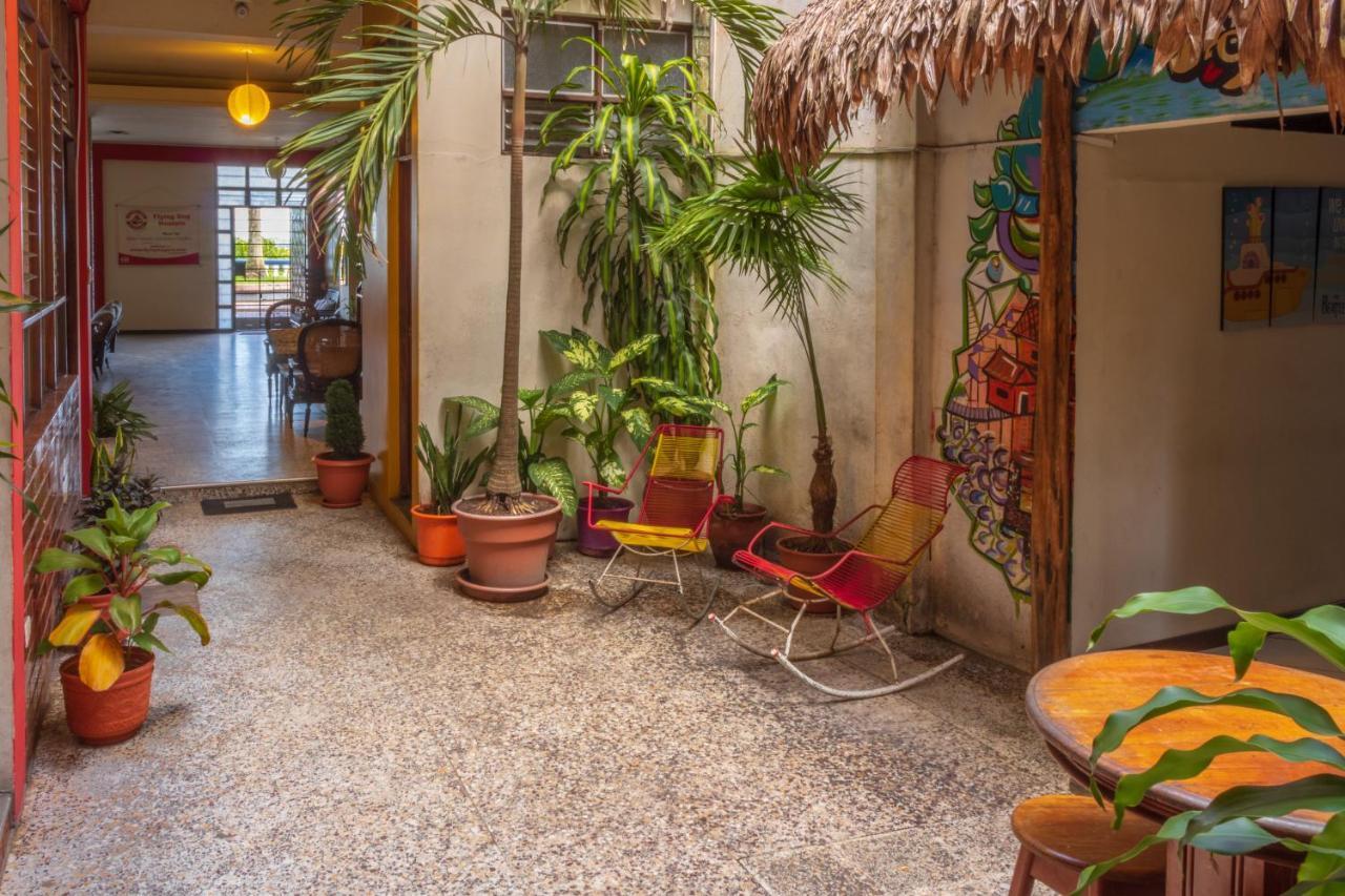 Flying Dog Hostel Iquitos Exteriör bild